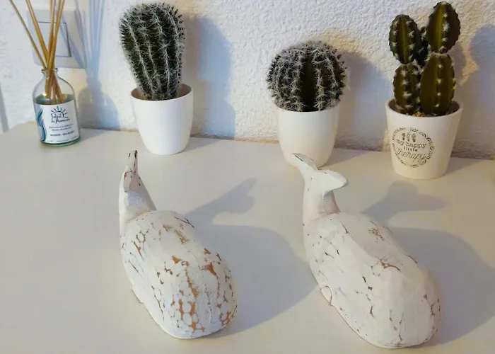 Le Souffle Du Vivant, Pour 4 Personnes Avec Piscine Sanary-sur-Mer